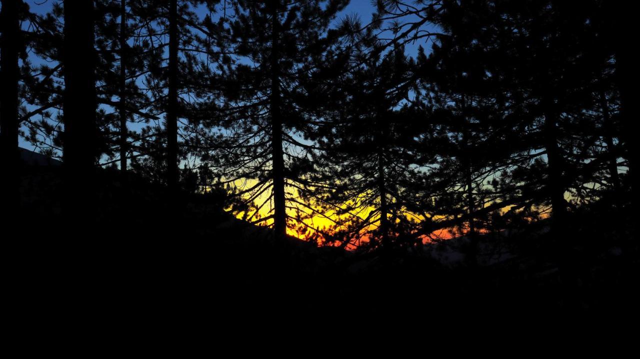 Pirin Place Bansko Bagian luar foto