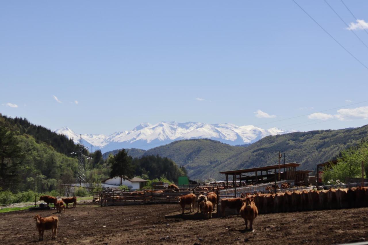 Pirin Place Bansko Bagian luar foto