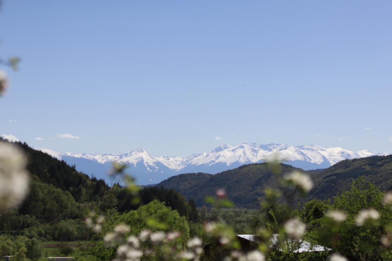 Pirin Place Bansko Bagian luar foto
