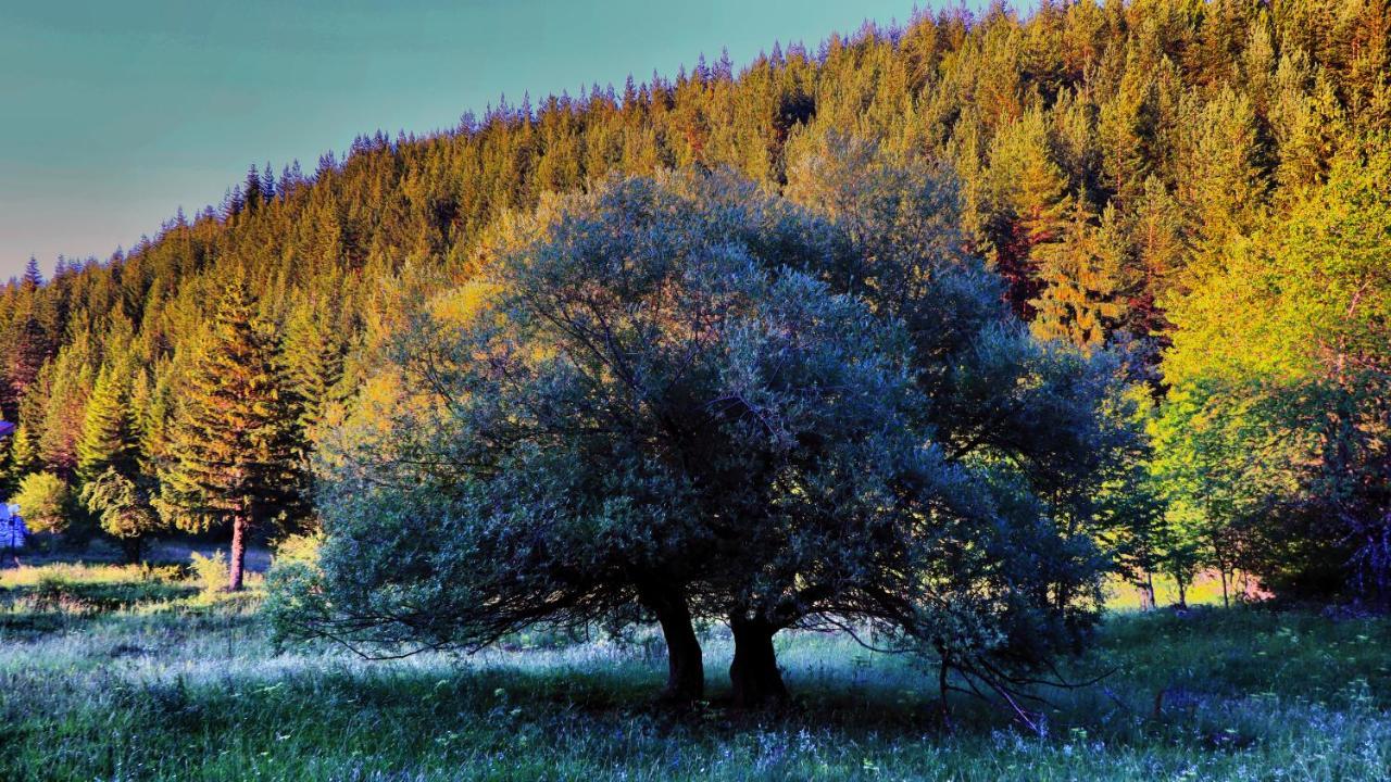 Pirin Place Bansko Bagian luar foto